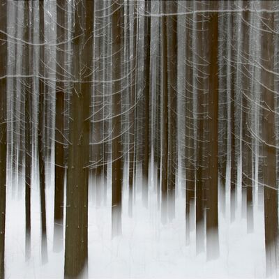 2. Platz: Georg Taschler - Rauschen des Waldes