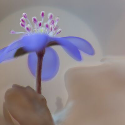 1. Platz: Hugo Wassermann - Leberbluemchen