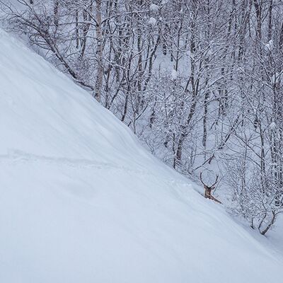 7. Platz: Wolfgang Obkircher - Harter Winter