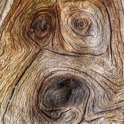 8. Platz: Manuel Plaickner - Der Schrei