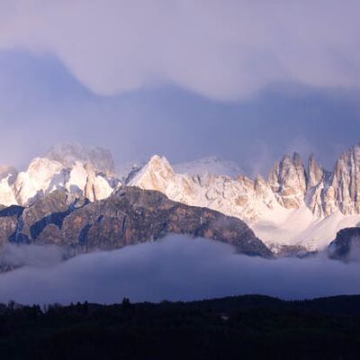 10. Platz: Spornberger Monika - Rosengarten