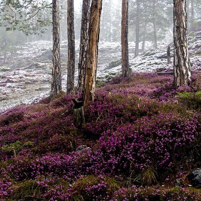 5. Platz: Erlacher Paolo