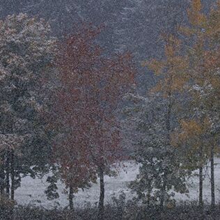5. Platz: Patrick Fumanelli - Schneetreiben