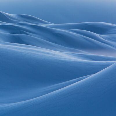 5. Platz: Hugo Wassermann - Schneehuegel