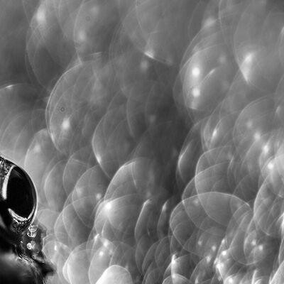 5. Platz: Silvan Lamprecht - Augenblick