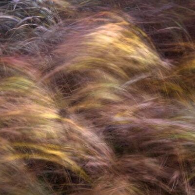 10. Platz: Chris Gass - Herbstbriese