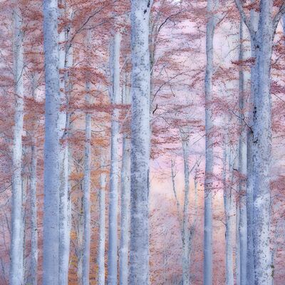 1. Platz: Helmut Elzenbaumer - Gemälde