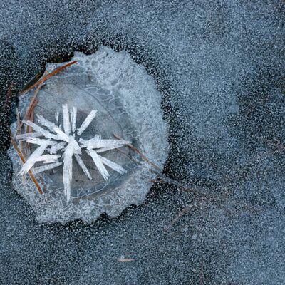 7. Platz: Taschler Georg - Eisblatt