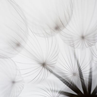 1. Platz: Johannes Wassermann - Samen