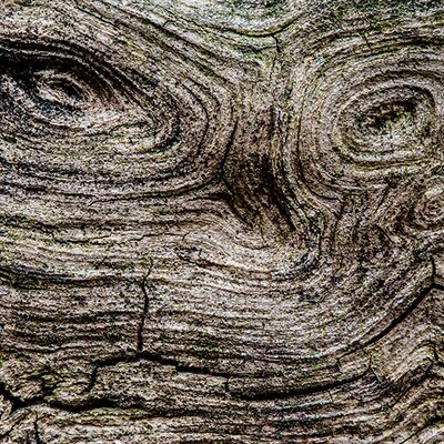 5. Platz: Johannes Wassermann - Herr Holz