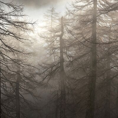 7. Platz: Claudio Sferra - Nebbia autunnale