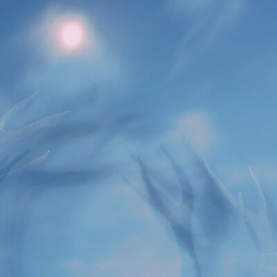 7. Platz: Horst Eberhöfer - Hirsch im Mondlicht