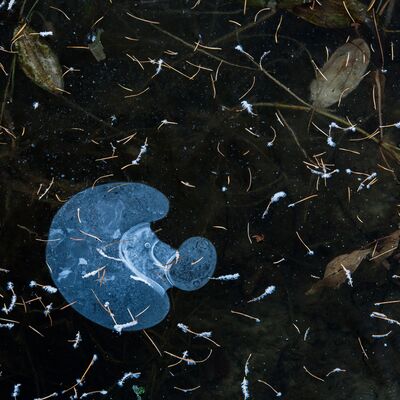 10. Platz: Hubert Hilscher - Mit Helm ist besser