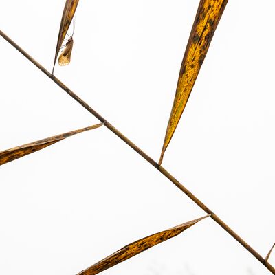 1. Platz: Matthias Gritsch - Symmetrie