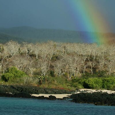 7. Platz: Wassermann Johannes - Galapagos Inseln