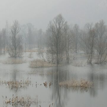 2. Platz: Annamaria Pernstich - Nach dem Morgenregen