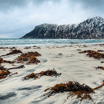 9. Platz: Philipp Santifaller - Lofoten