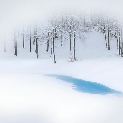 10. Platz: Stefano Baglioni - Attraverso la neve