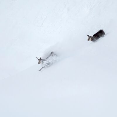 2. Platz: Claudio Sferra - L´inseguimento