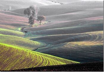 Val d'Orcia