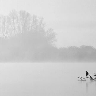 2. Platz: Helmut Elzenbaumer - Anflug zum Rastplatz