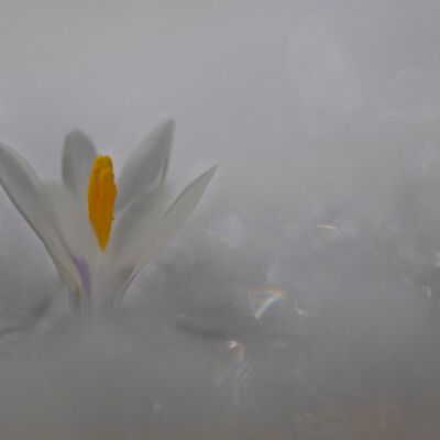 7. Platz: Annamaria Pernstich - Kontraste