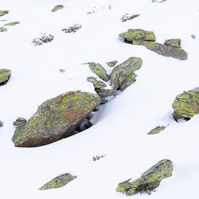 2. Platz: Silvan Lamprecht - Schneehase