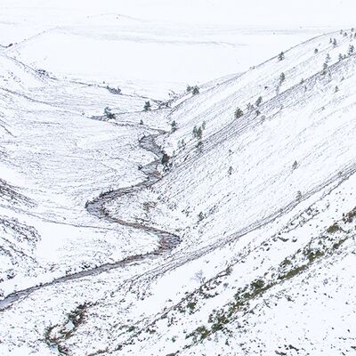 3. Platz: Gerd Tauber - Natur in Harmonie