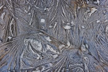 Strukturen im Schlamm