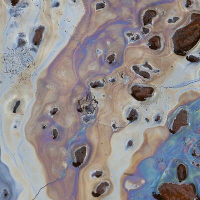 9. Platz: Georg Tauber - Farbenspiel im Wasser