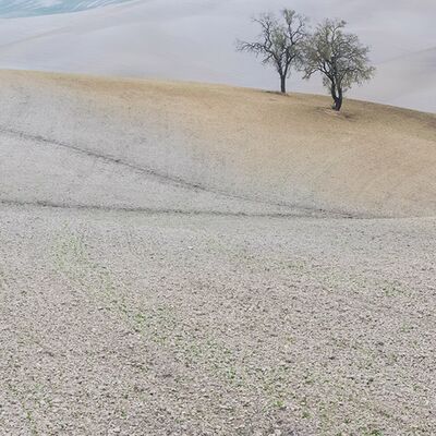 10. Gerd Tauber - Zwei Freunde auf weiter Flur
