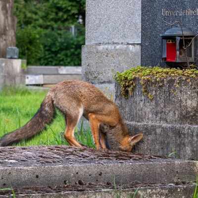 5. Platz: Kerstin Siepmann - Unvergesslich