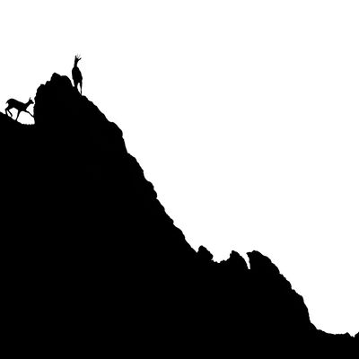 6. Platz: Massimo Santoro - Gämse