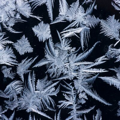 3. Platz: Alfred Erardi - Eiskristalle