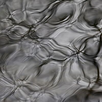 7. Platz: Manuel Plaickner - Baumspiegelungen in den Teichwellen