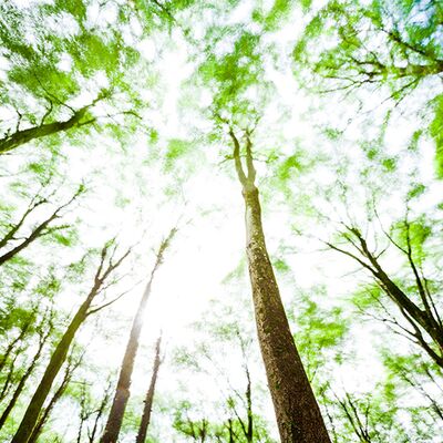 2. Platz: Lukas Schaefer - Verweht