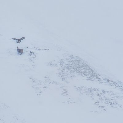 2. Platz: Reinhard Arnold - Einer wird Verlierer sein