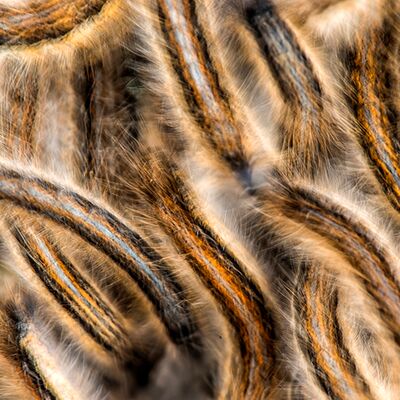 3. Platz: Stefano Baglioni - Frenesia