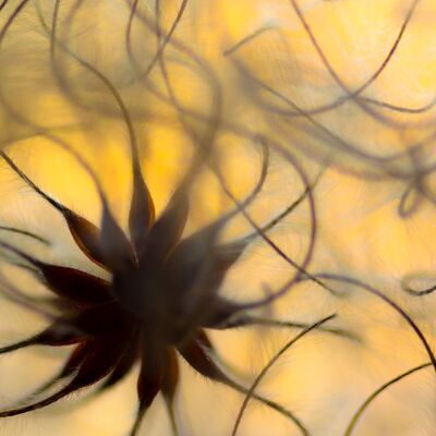 3. Platz: Johannes Wassermann - Samen