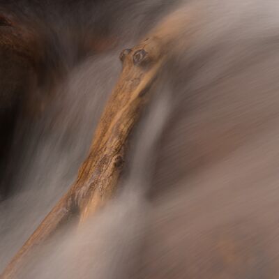 4. Platz: Josef Bachmann - Zauber der Natur