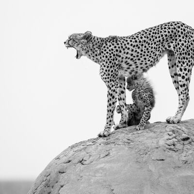4. Platz: Manuel Plaickner - Keine Angst Kleiner