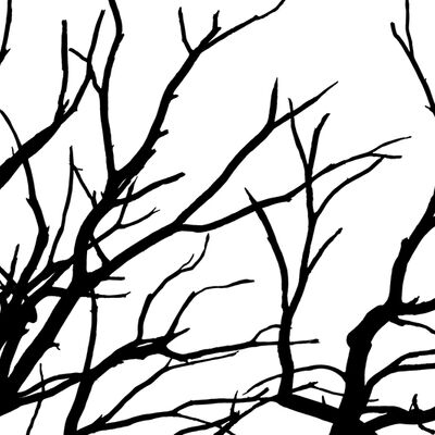 5. Platz: Massimo Santoro - Verzweigung