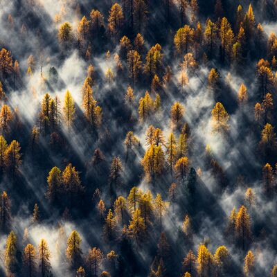 1. Platz: Lukas Schäfer - Magischer Herbst