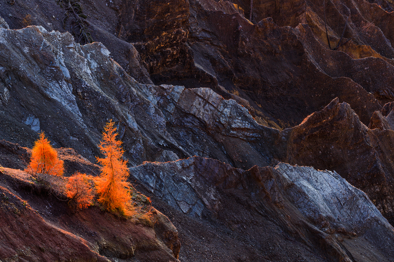 © Lukas Schäfer – Überlebenskünstler